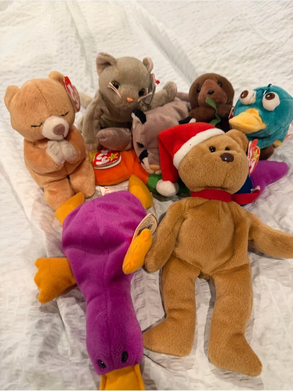 Ty Plush Assorted Friends - Brown, Purple, Teal, Tan
